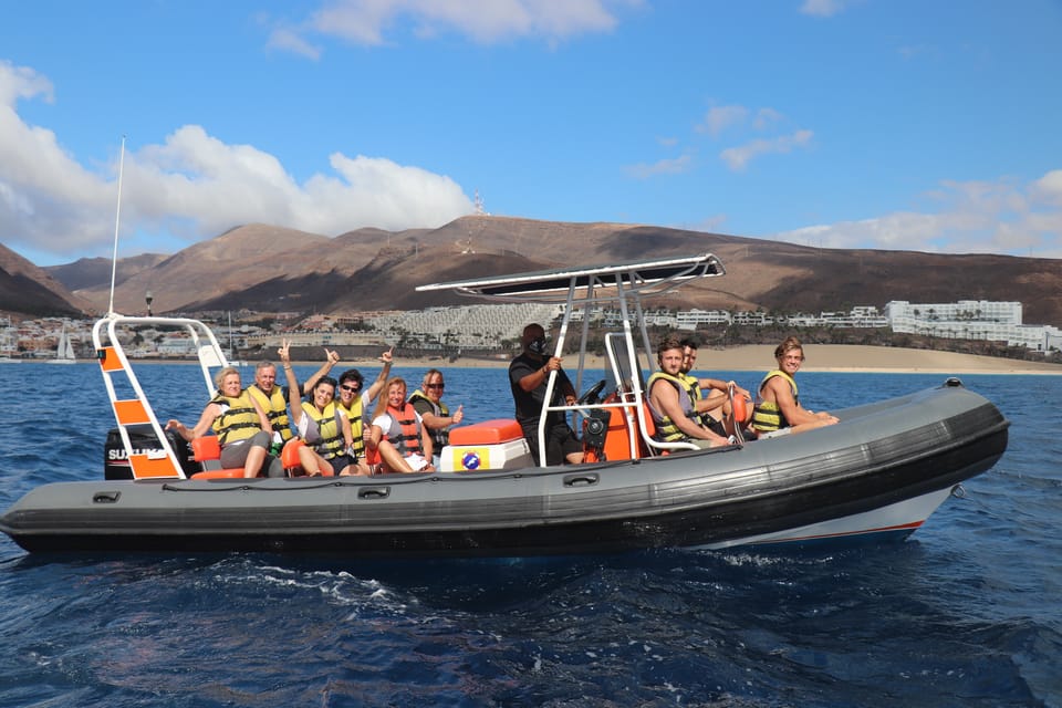 Delfines y Ballenas Moro jable